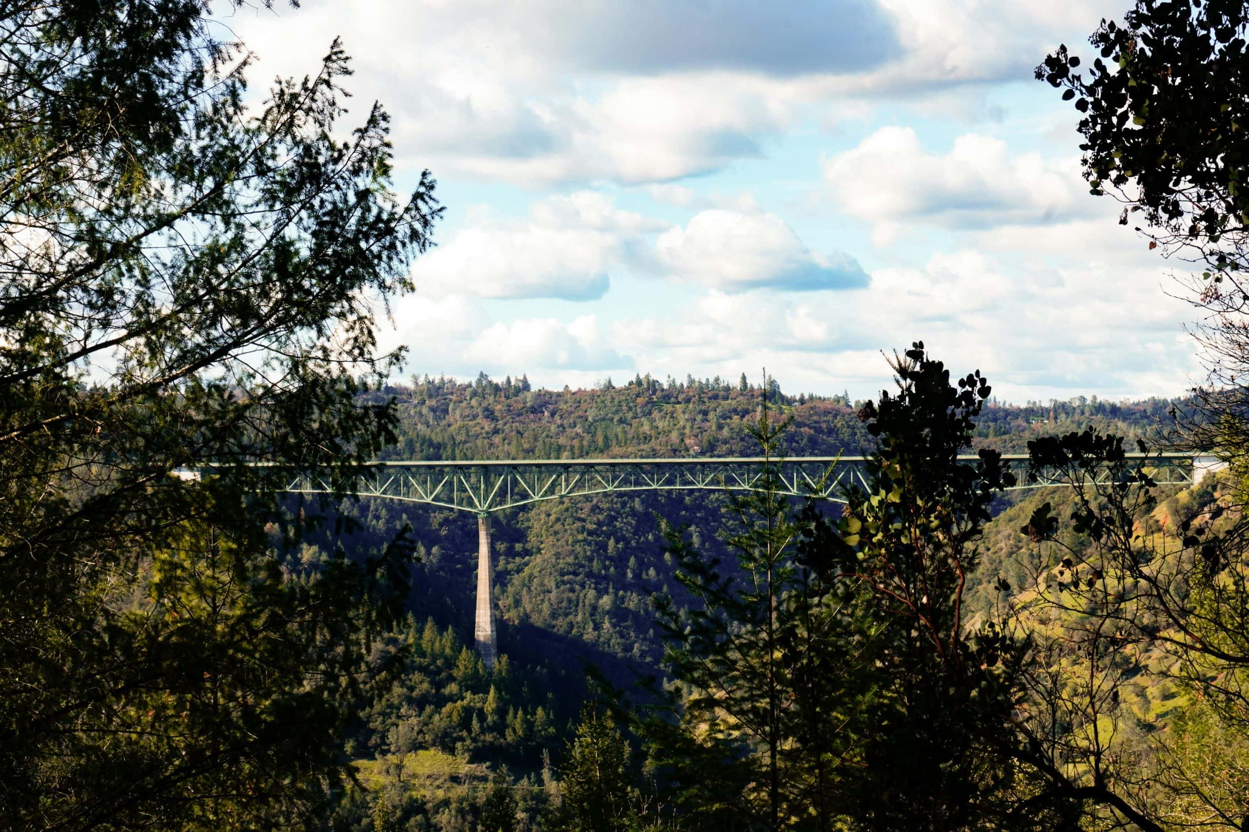 Lush green forest with a bridge spanning over a canyon, surrounded by trees.